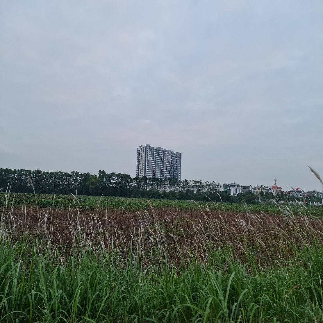 📢 36m² trục đường 23m - Kinh doanh cực đẹp tại Trâu Quỳ, Gia Lâm 📢 ☎️  ☎️ - Ảnh 2